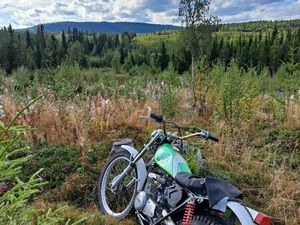 KAWASAKI KT 250 KT250