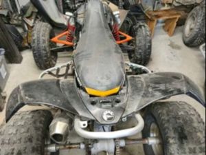 CAN-AM DS 450 DS
