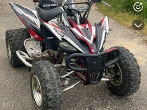 250 RAPTOR HOMOLOGUÉ