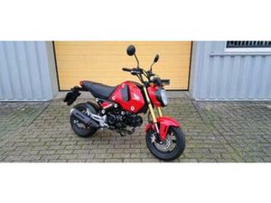 HONDA MSX 125 (BJ 2021) GROM — MOTOREN | HONDA — MARKTPLAATS
