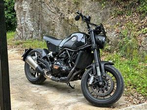 URGENT LEONCINO 500 BOBBER