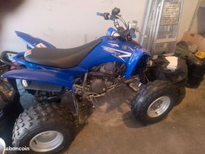 QUAD 250 RAPTOR