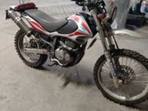 BETA ALP 4.0 DEL 2006