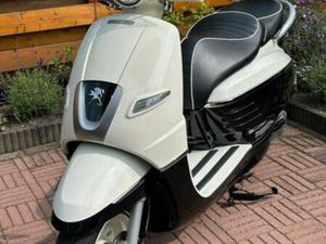 PRACHTIGE ZEER GOED ONDERHOUDEN PEUGEOT DJANGO 2020 — SCOOTERS | PEUGEOT — MARKTPLAATS