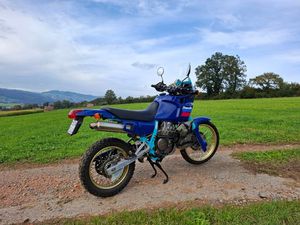 NX 650
