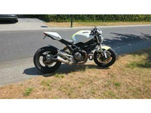 UNIEKE DUCATI MONSTER 696 CUSTOM PAINT & BRUTALE SOUND. — MOTOREN | DUCATI — MARKTPLAATS