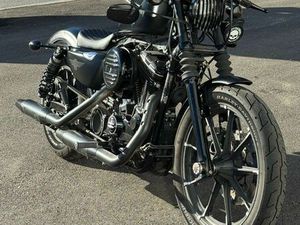 HARLEY DAVIDSON 883 IRON