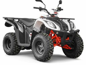 QUAD HOMOLOGUÉ KAYO AU200