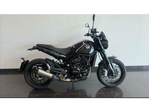 VENDO BENELLI LEONCINO 500 (2021 - 25) USATA A ROMA (CODICE 9892347) - MOTO.IT