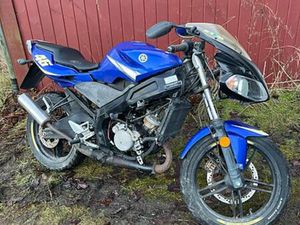 YAMAHA TZR 50