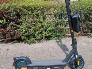 SEGWAY-NINEBOT E-SCOOTER MAX G30DII 10 ZOLL ACCU 512 MAH