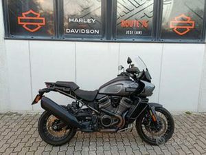 HARLEY-DAVIDSON PAN AMERICA SPECIAL - 2024