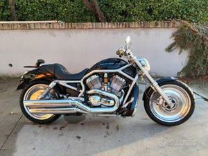 HARLEY-DAVIDSON 1130 V-ROD - VRSCA
