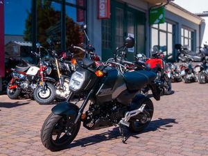 HONDA MSX 125 GROM
