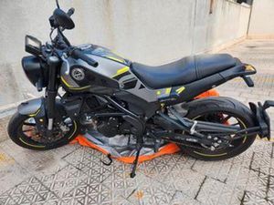 BENELLI LEONCINO 250 - 2022