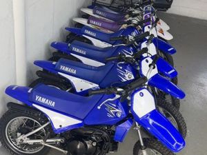 RECHERCHE PIWI 80 BLEU 2010-2011