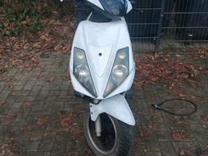 EXPLORER RACE GT50 BASTLER