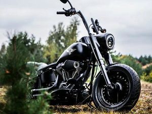 HARLEY-DAVIDSON SOFTAIL CUSTOM