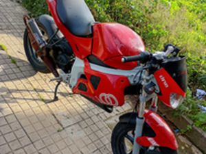 GILERA DNA
