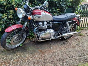 TRIUMPH BONNEVILLE T 100