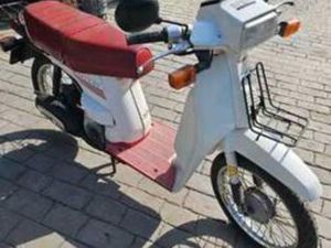 HONDA - SCOOPY SH 75