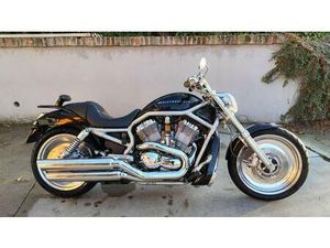 VENDO HARLEY-DAVIDSON 1130 V-ROD (2002 - 05) - VRSCB USATA A CASTIGLIONE FALLETTO (CODICE 