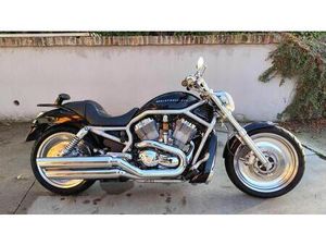 VENDO HARLEY-DAVIDSON 1130 V-ROD (2002 - 05) - VRSCB USATA A CASTIGLIONE FALLETTO (CODICE 9892834) - MOTO.IT