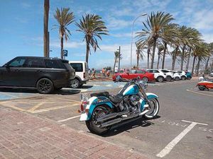 HARLEY DAVIDSON - SOFTAIL DELUXE