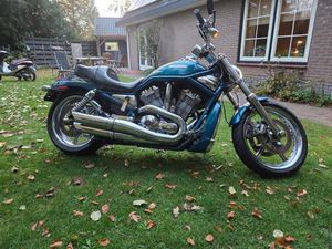 HARLEY-DAVIDSON - VRSCSE - V-ROD - SCREAMING EAGLE - CVO - NO RESERVE - 1250 CC - 2005