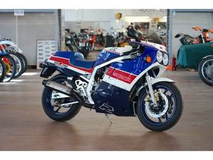 SUZUKI - GSX-R 750 LIMITED EDITION - 1988