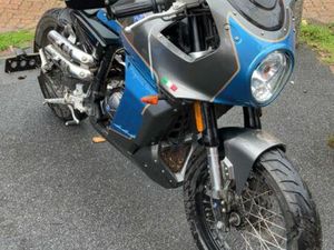OTHER MOTORBIKES, SC, 2019, 124 (CC)