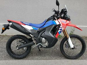HONDA CRF 300 RALLY 2025