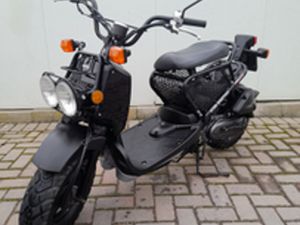 HONDA ZOOMER 50