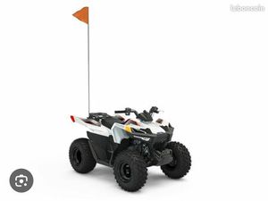 QUAD POLARIS 70