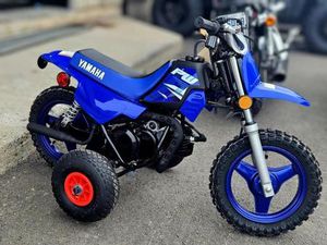 2026 YAMAHA PW50
