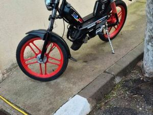 103 CLIP AVEC CARTE GRISE