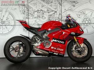 DUCATI PANIGALE V4 BAGNAIA REPLICA (BJ 2023) — MOTOREN | DUCATI — MARKTPLAATS