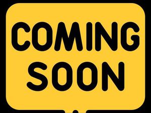 TRIUMPH DAYTONA 675 R