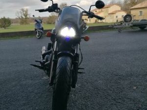 INDIAN SCOUT 1133 ROGUE 2023 1133 CM3 | MOTO CUSTOM | 13 362 KM | NOIR | 33210 TOULENNE