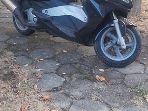 MALAGUTI MADISON →