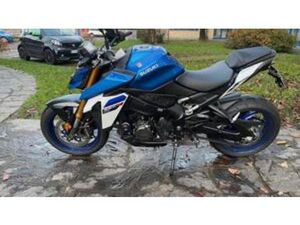 GSX-S1000 (2021 - 25)