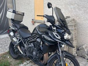 TRIUMPH TIGER