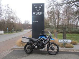 TRIUMPH TIGER 800 XCX *AUS 1.HAND*KOFFER*HEIZGRIFFE*95PS