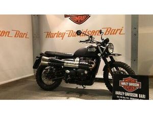 VENDO TRIUMPH STREET SCRAMBLER 900 (2019 - 20) USATA A MODUGNO (CODICE 9893899) - MOTO.IT