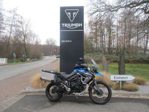 TRIUMPH TIGER 800