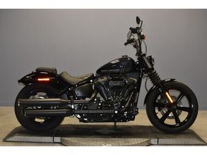 2024 HARLEY-DAVIDSON STREET BOB 114