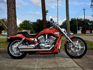 2005 SCREAMIN' EAGLE® V-ROD®