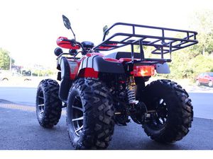 АТВ ШИНЕРАЙ 250 / ATV SHINERAY 250 CC →