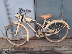 BIANCHI AQUILOTTO - 1952