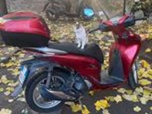 HONDA SH 125 - PERFETTO